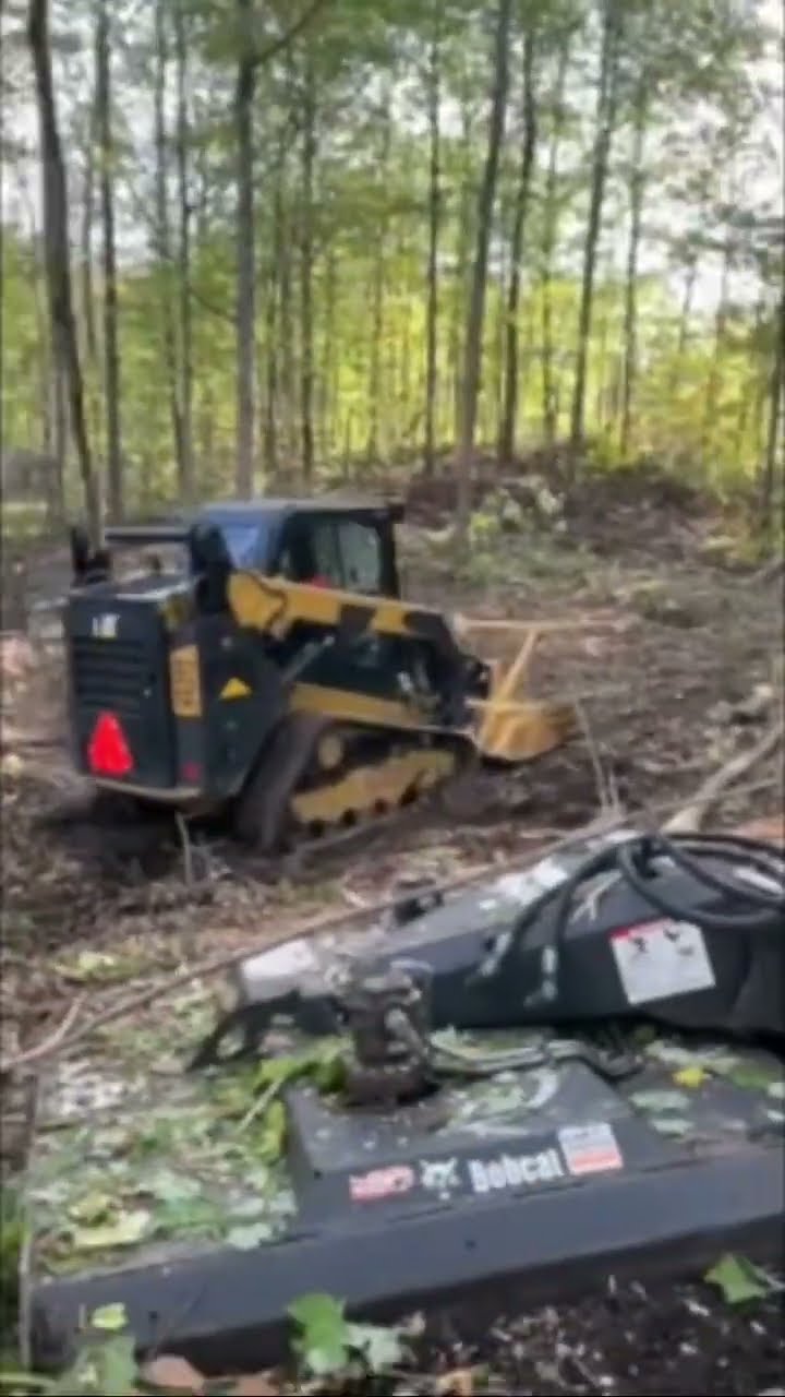 Cat 259d Disc Mulching Residential Property Shorts Youtube Cat 259d Disc Mulching Residential Property Shorts Youtube