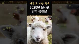 2025년 금전운! 띠별로 보는 2025년 을사년 금전운! 양띠분들의 2025년 금전운! #띠별운세, #금전운, #2025년운세,