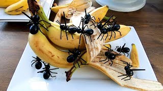 Art In Banana Show - Fruit Carving Ants In Banana - Party Garnishing - Food Decoration