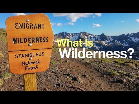 What is not allowed in wilderness areas?