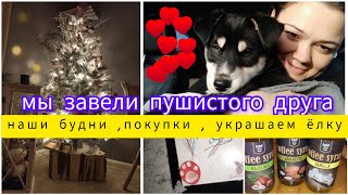 VLOGMAS ⛄У нас пополнение 🤩 УКРАШАЕМ ёлочку 🎄скоро НОВЫЙ ГОД🎄❄️