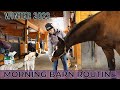 Morning Barn Routine & Feeding the Horses • WINTER 2023 | Rainy Day on the Farm // EQUESTRIAN VLOG