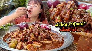 ตำไหลบัวกุ้งสด เผ็ดฟ้าผ่า เคี้ยวกรุบๆ กุ้งเด้งกรอบ แซ่บสะใจมาก |ตั้มมี่Channel