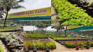 Plant nursery visit | Nursery tour |South Indian agro farm near panniyankara toll