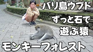 バリ島モンキーフォレストは猿だらけ