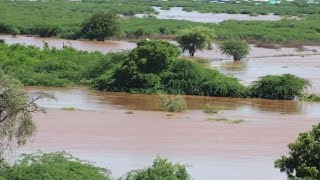 Daawo halista Umada Beledweyne haaysato maamulku waa inuu joojiyaa marista wadadaan xiligaan