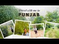 Punjab de khet || sohna Punjab || Punjab village || weekly vlog || mera pind || 4k video vlog || 4k😍