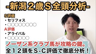 【2021新潟２歳Ｓ全頭分析】社台ノーザン系クラブ馬４頭の序列が攻略の鍵。