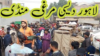 Ando Wali Murghi Mandi Daroghewala Link road Lahore Pakistan