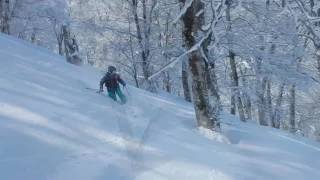 大渚山 山スキー（2017.2.26）北斜面周回