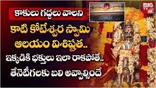 Kati Koteswara Swamy Temple | కాకులు గద్దలు వాలని..కాటి కోటేశ్వర స్వామి ఆలయం విశిష్టత..| BIG TV