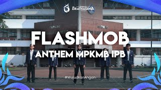 FLASHMOB ANTHEM MPKMB IPB