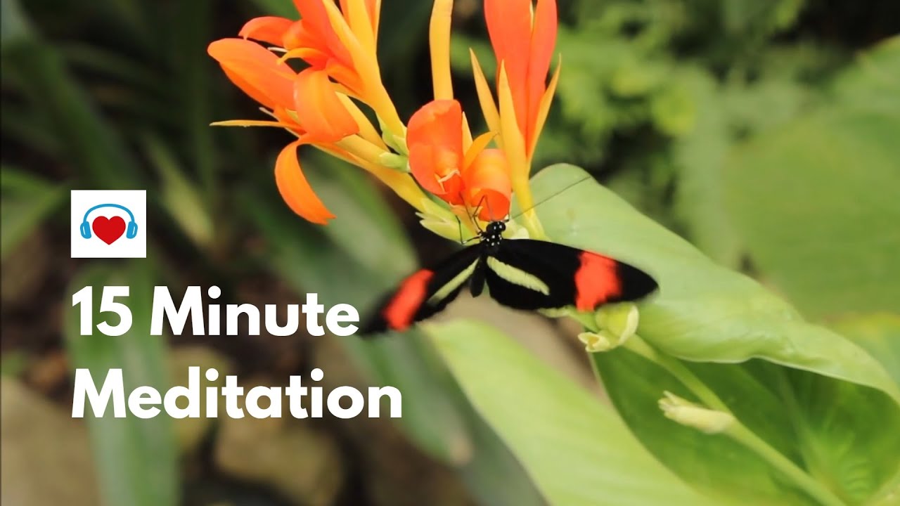 15 Minute Meditation Music For Positive Energy Stress Relief Healing