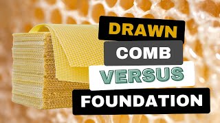 Testing Drawn Comb Versus Foundation - Why is Drawn Comb SO Valuable?!