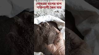 বিনামূল্যে কিভাবে তৈরী করবেন || গোবরের বাপের বাপ শক্তিশালী জৈব সার #organicfarming