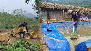 Changing the water in the duck pond: Making more nests for the laying hens: The life of Ly Tieu Ca