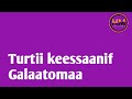 oduu motuumaan ammas ibsaa basee jiraa gaazexeessaa cimaa bara kanaa anuwaar jaamal