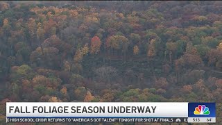 Fall foliage in Illinois: When to expect fall colors to change and hit their peak