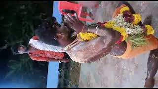 arasoor poochikadu thiru mutharamman kovil kodai 2021