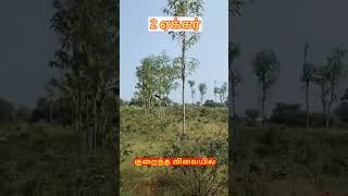 குறைந்த பட்ஜெட் நிலம் #landforsale #farmland #agriculture