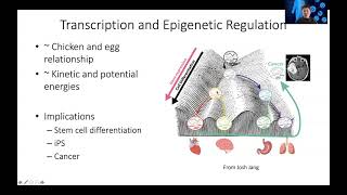 STAT115 Chapter 13.8 Summary of Epigenetics and Chromatin