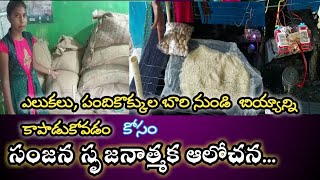 ఎలుకలు,పందికొక్కుల బారి నుండి బియ్యాన్ని కాపాడుకోవడం కోసం సంజన చేసిన సృజనాత్మక ఆలోచన|Innovative Idea