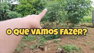 Tem ouro no meu quintal/Vlog do dia todo!!