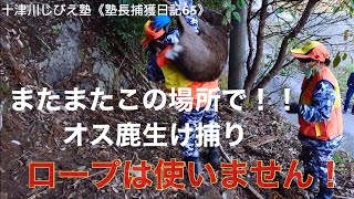 十津川じびえ塾「塾長捕獲日記65」～雄鹿捕獲～