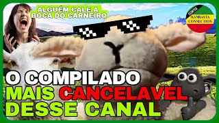 DR. CARNEIRO SALGADO - (COMPILADO) | corte oficial