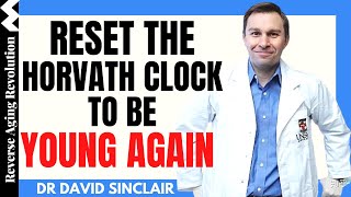 RESET The Horvath Clock To Be YOUNG AGAIN | Dr David Sinclair Interview clips