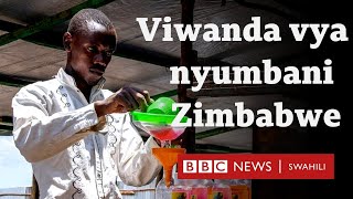 Mchipuko wa viwanda vya kinyumbani nchini Zimbabwe