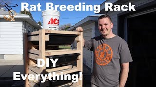 DIY EVERYTHING! | RAT BREEDER RACK | Mixology #3