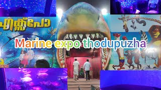 Marine expo thodupuzha🐠🐬/#marineexpo#arapiama#alligator#panderfish#shorts