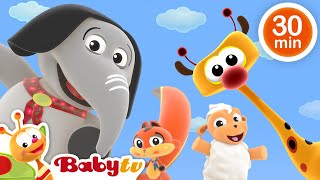 Tombul Yumurta 😁 + Daha Fazla Çocuk Şarkısı ve Tekerlemeler 🎵 | ile Dans Partisi @BabyTVTR