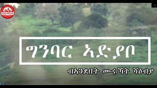 ATV: ኩናት ኣድያቦ ብኣንደበት ምሩኻት ኤርትራ