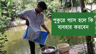 পুকুরে গ্যাস হলে করণীয় কি | পুকুরে জিওলাইট ব্যবহার | Pond water quality standards