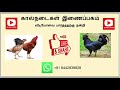 கோழி குஞ்சிகளை அடைகாப்பானில் பராமரித்தல் kalnadaikal inaipagam