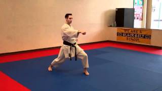 Junro Shodan (slow motion) - Warren Levi Karate