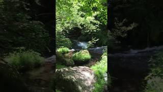 蓼科大滝遊歩道 脇道 Tateshina Otaki Footpath 1