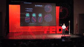 The Fibonacci Sequence and Experies with Learning | Nate Young | TEDxYouth@Conejo