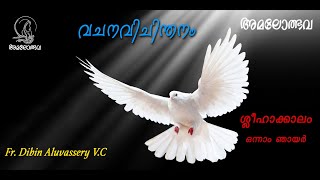 വചനവിചിന്തനം ശ്ലീഹാക്കാലം ഒന്നാം ഞായർ sunday homily first sunday of season of apostles John 16: 5-15