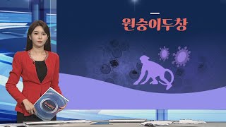 [그래픽뉴스] 원숭이두창 / 연합뉴스TV (YonhapnewsTV)