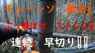 竹林奮闘記　＃３５　放置竹林　竹林再生計画ー１３　竹林　枯竹　雑木　間伐　整備