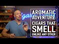 Aromatic Adventures: Cigars That Smell Unlike Any Other