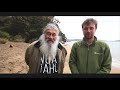 predator free rakiura vision video