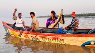 आज मिळाली वाव आणि मिक्स म्हावर  fish #Fishing #NetFishing # wav#eel #eelfishing