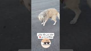 بمیرم برات از دست همه شکایت داره