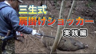 【猪猟】三生式　肩掛けショッカー　足くくり罠に捕獲された　　６３Kgのイノシシ実践！！