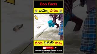 😱పాపం కుక్క😱 People saves dog #humanity #dog #shorts #youtubeshorts