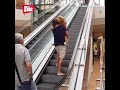 golden retriever is scared of escalator